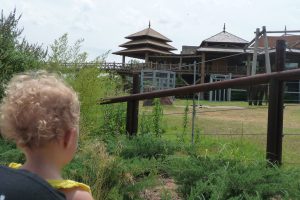 At the zoo